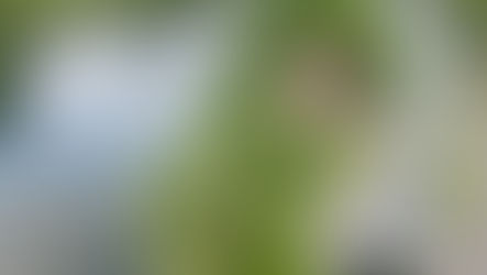 Stage 8 - Marlow to Staines - August 1st