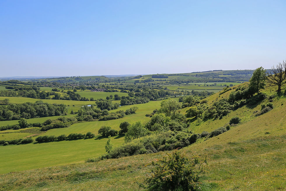 Looking back downhill from Rawlsbury Camp