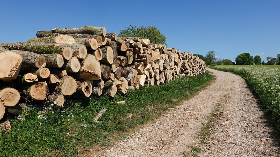 Log pile