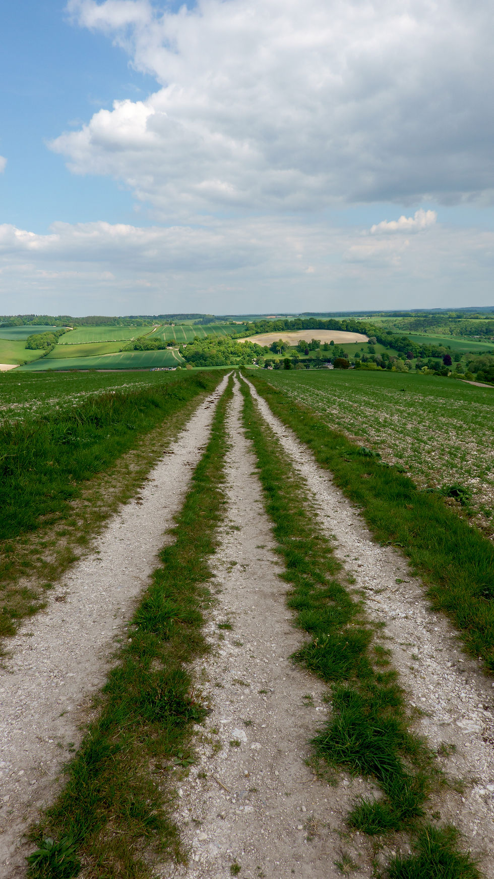 Path down from Hambledon Hill