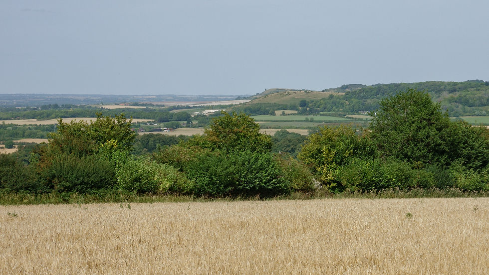 That's Ivinghoe Beacon in the background