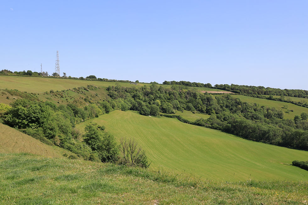 Bulbarrow Hill from Rawlsbury Camp
