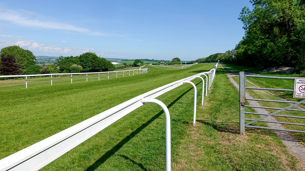 Out of the blue you're at Salisbury Racecourse