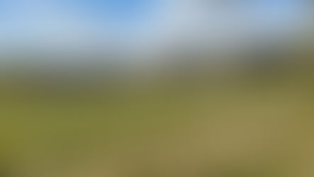 Stage 26 - Peddars Way - Watton to Castle Acre - September 5th 2025