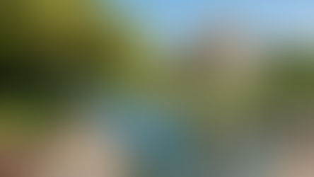 Stage 4 - Swinford Bridge to Abingdon - May 20th