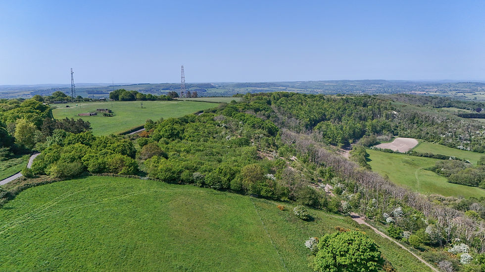 Looking back towards the radio masts on top of Bulbarrow Hill