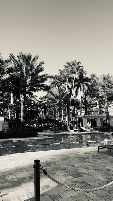 Nora Houston, "A Day in Florida"