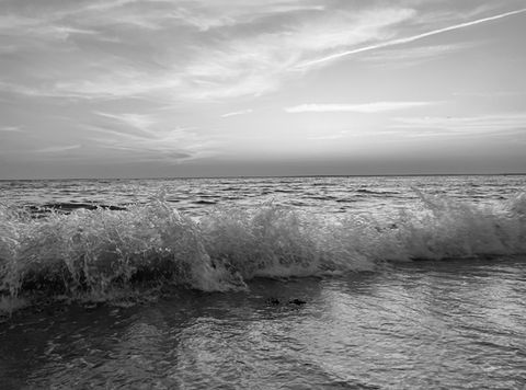 Maren McCarthy, "Summer Waves"