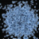 celulas_base cientifica.png
