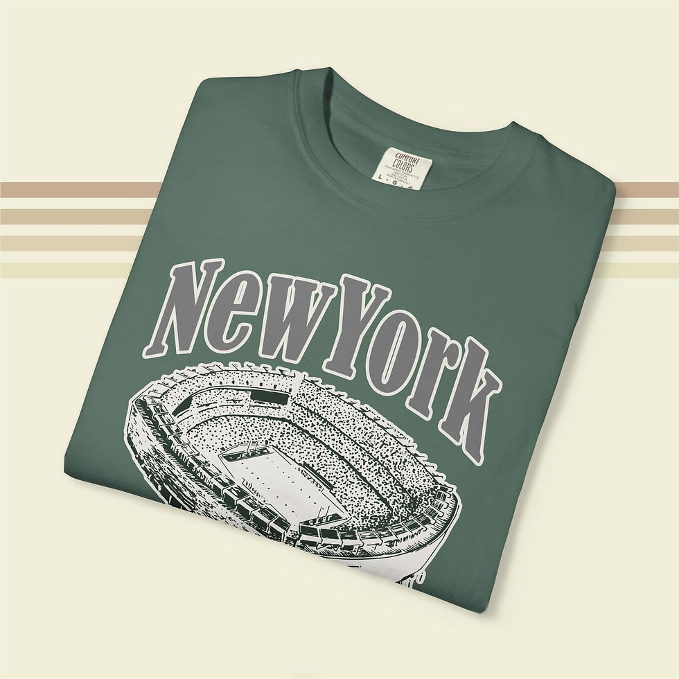 Thumbnail: NY Meadowlands Football T-Shirt