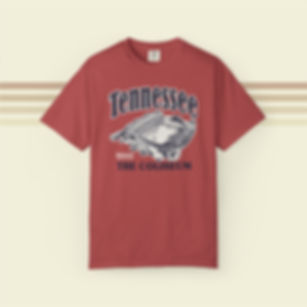 The Coliseum Football T-Shirt