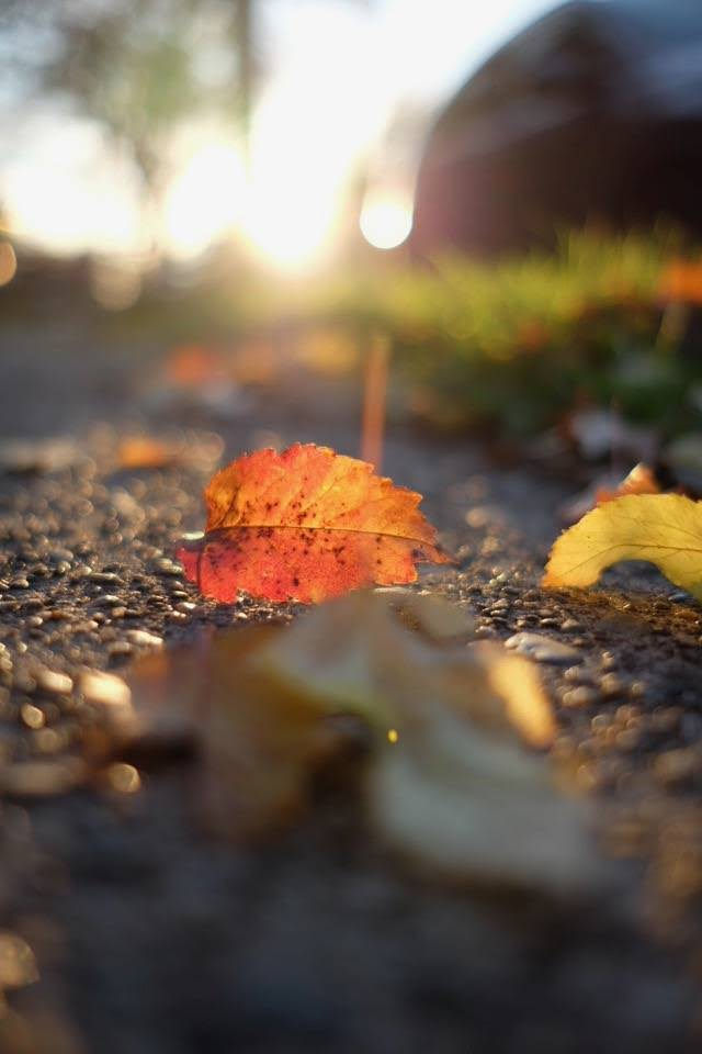 Unexpected Opportunities in Shorter, Darker Days