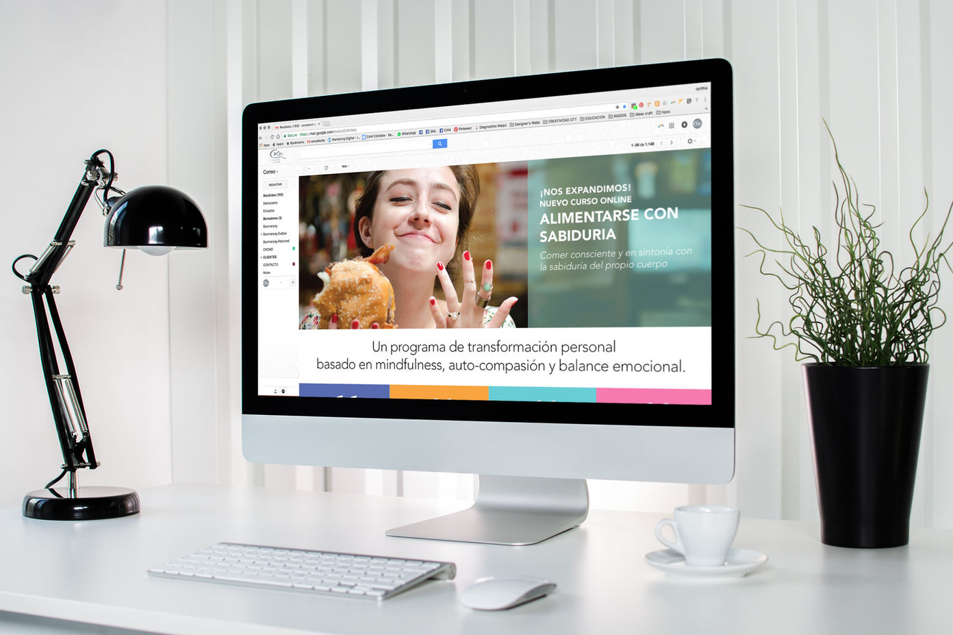 Estudio CKS email marketing newsletters mailings