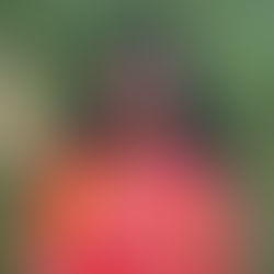 Meet Shree Portonovo — Our Newest Coach at Change by Challenge