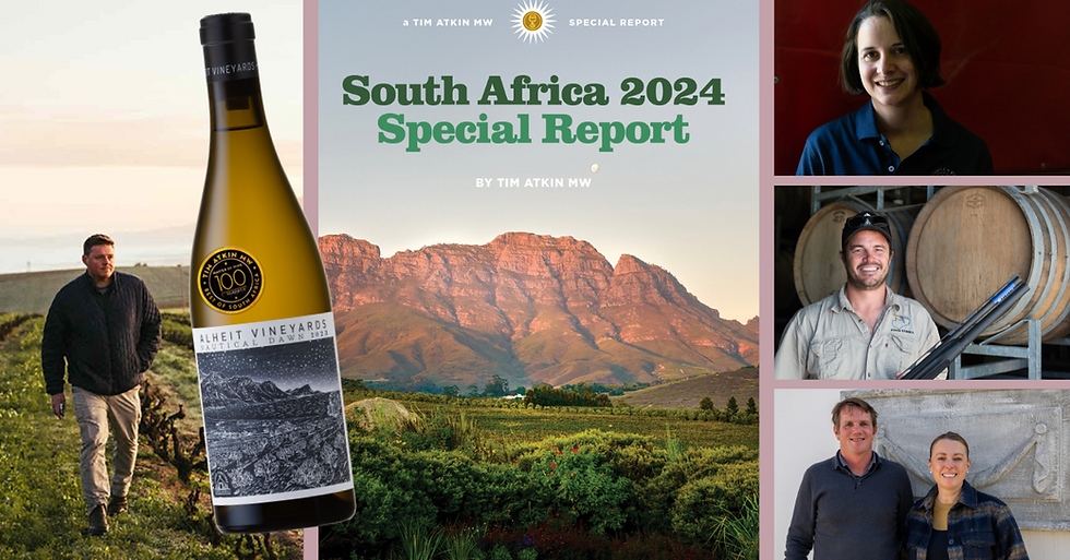 Tim Atkin MW South Africa Report 2024