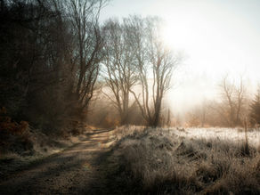 Navigating Career Transitions: Using Your Blueprint as a Compass