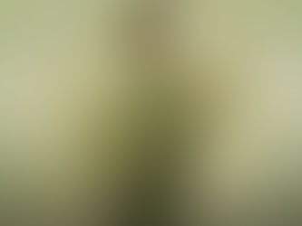 Weekly Reading: Sidereal Astrology, Tarot, and the Waxing Moon on October 10th – Curiosity and Inspiration