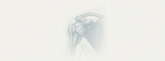 ortho.png