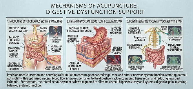 digestion.png