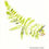 Thumbnail: Fern Print Series