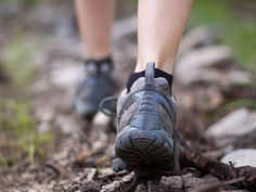 The Intelligence of Feet