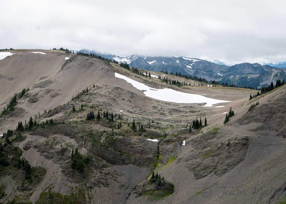 mountain ridge in olympic national park