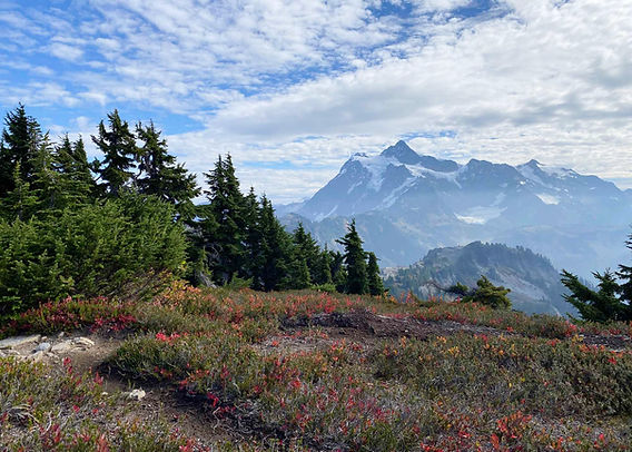 Exploring Heather Meadows Area: A Hiker's Paradise in the Mount