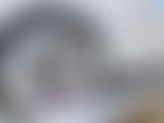 Audi A1 £50 Polish & Paint Sealant bundle