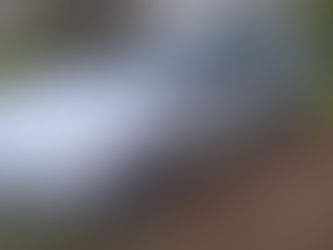 Vauxhall Corsa - Custom bundle