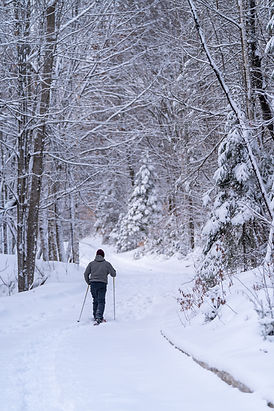 LD _ Olivier Langevin - Domaine du Lac des Loups (7) (1).jpg