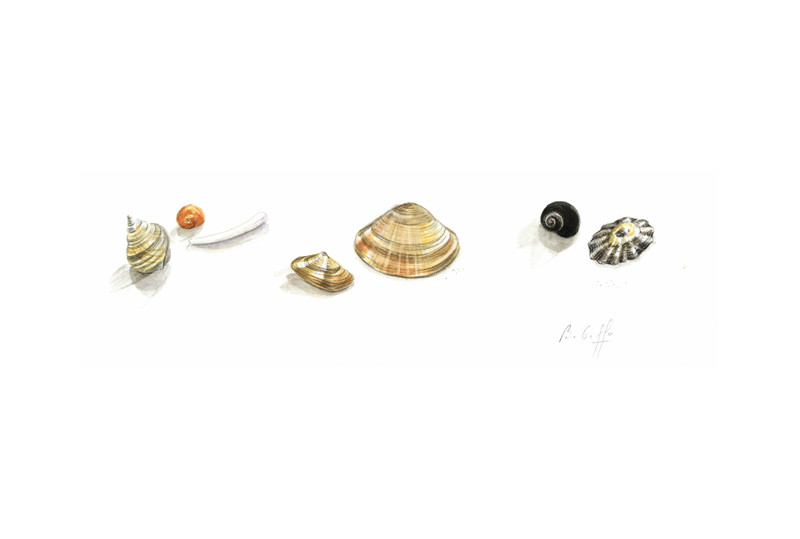 Des petits trésors 1