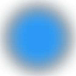 Two Paths, One Wild New Year: Gratitude for a landmark year, pragmatic optimism for the next one.