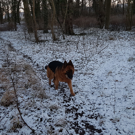20190118_082258.jpg
