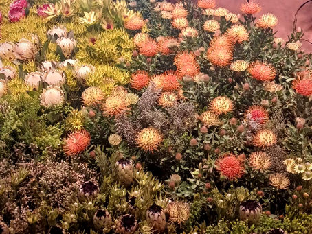 Eco-Psyc Journal 27 Sept 2024