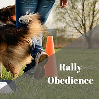 Rally Obedience