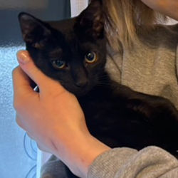 20260109_S__20644221_edited