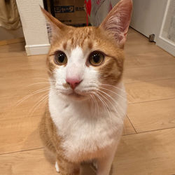 20260122_etubou_D70B8803-2D2C-4101-B025-0AB7FEEC01FF_edited