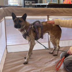 20260131_S__29425677_edited