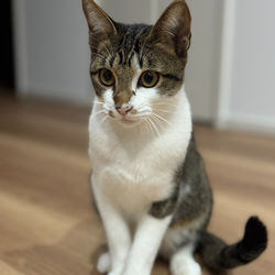 20251222_22CC7A4C-57FC-499A-8A1A-4BF8AFFAA54B_edited