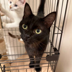 20251112_S__794771459_edited