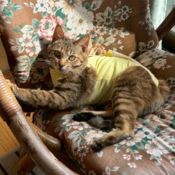 20260211_LINE_ALBUM_ゆず(旧キウイ)♀_260211_1_edited