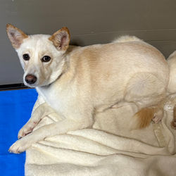 20260121_S__113745942_edited