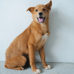 LINE_ALBUM_Kasane studio様、enda様より。_250711_3_edited