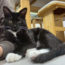 20260127_タビ_LINE_ALBUM_タビ♀_260127_1_edited