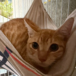 20251001S__73498730_edited