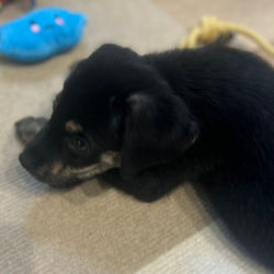 20250915452D4B8F-688F-4E8C-8172-F84BF6D961AF_edited