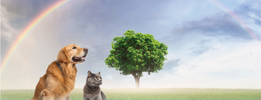 HPスクリーンショット 2025-12-08 191858.png