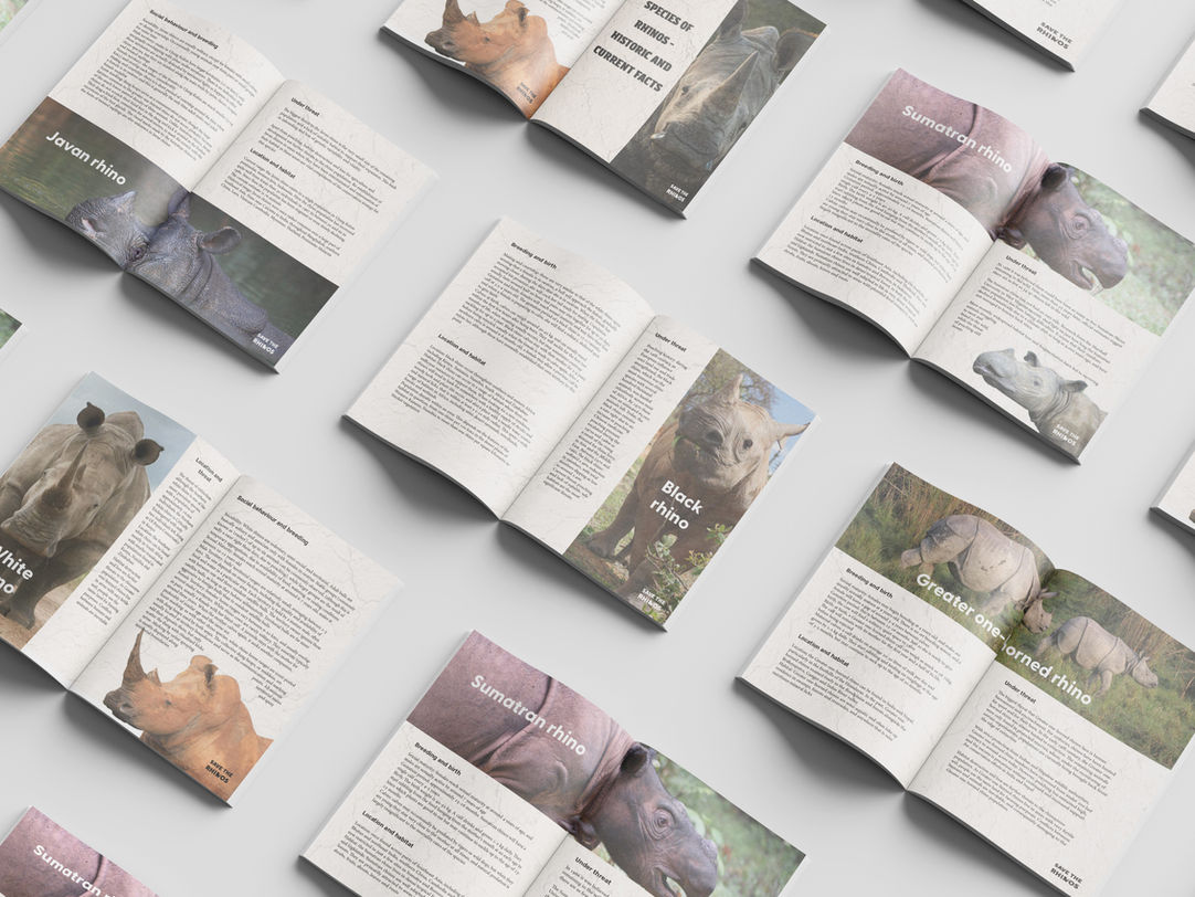 The Rhino Recovery Fund - Annual charity event