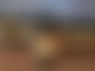 純露（花水）和精油的區別