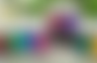 Essential Oil Safety Guide 
精油安全使用指引